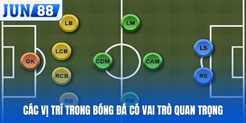 Các vị trí trong bóng đá có vai trò quan trọng