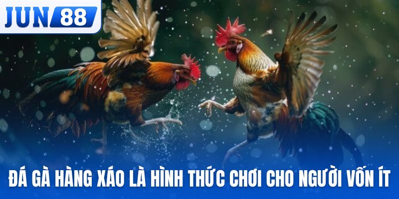 Đá gà hàng xáo là hình thức chơi cho người vốn ít